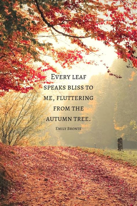 autumn of life quotes|60 quotes about autumn.